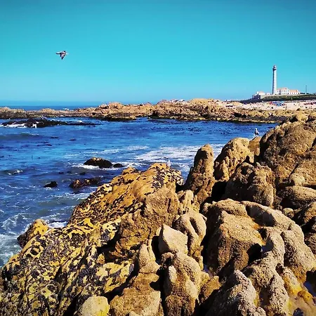 Villa Santiago House Leça da Palmeira