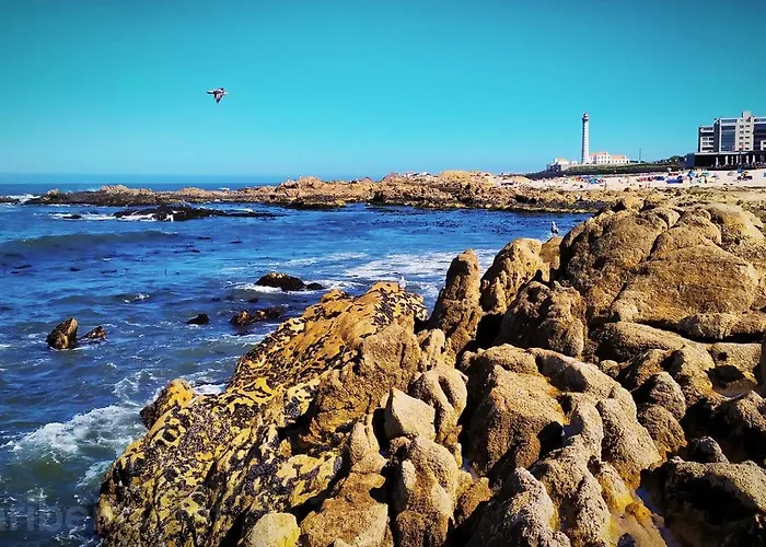 Vila Santiago House Leça da Palmeira